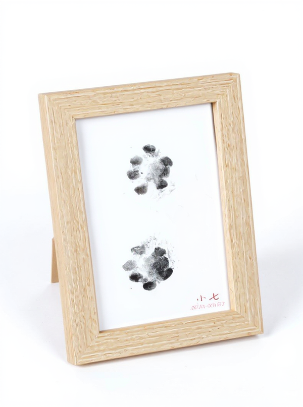 Pet Paw Print Kit - No-Wash Ink Pad, Frame & Keepsake for Dogs & Cats